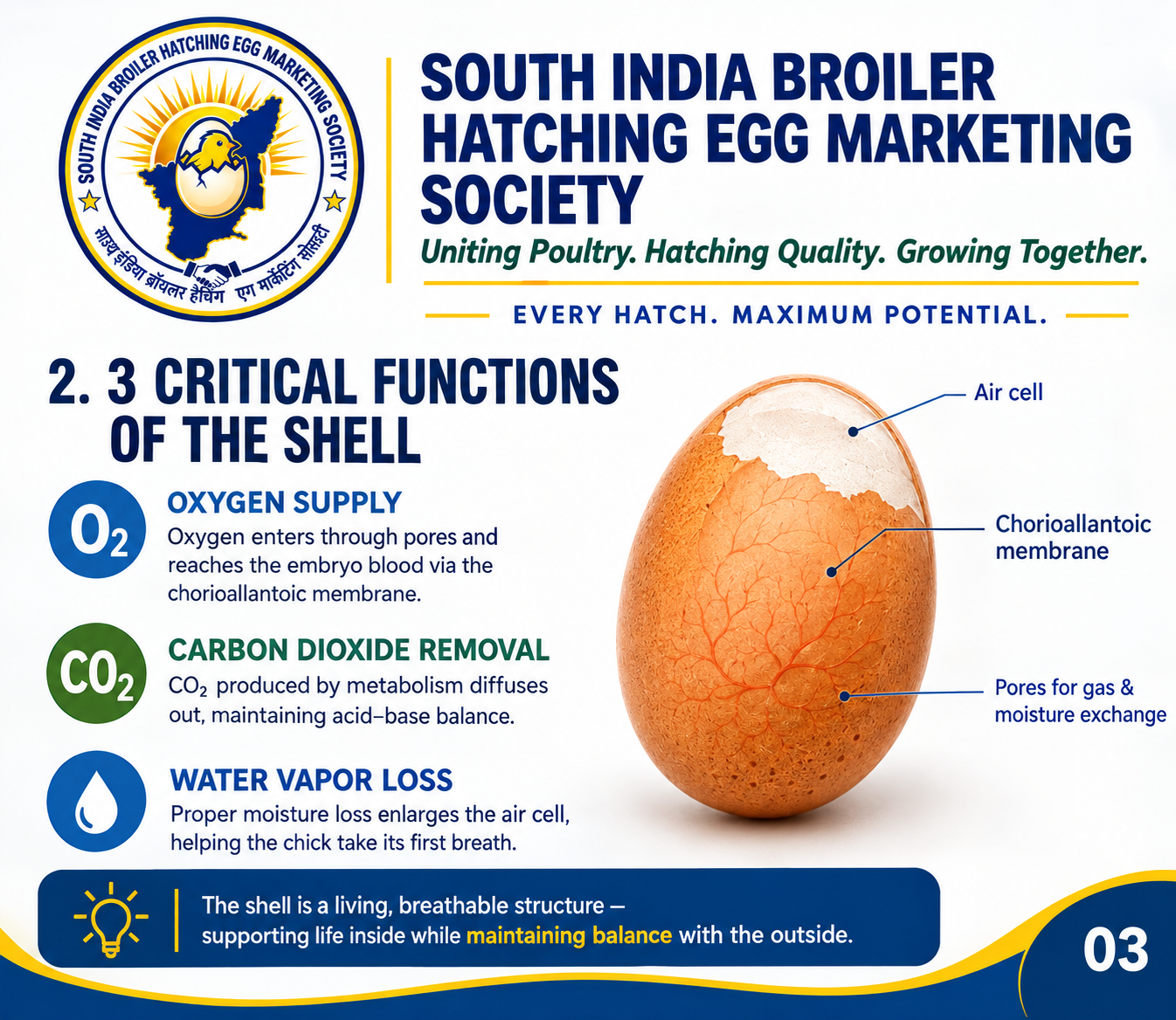 Rail Logistics & Cold Chain
